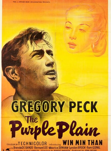 دانلود فیلم The Purple Plain 1954 دشت بنفش